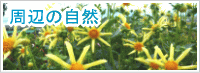 周辺の自然